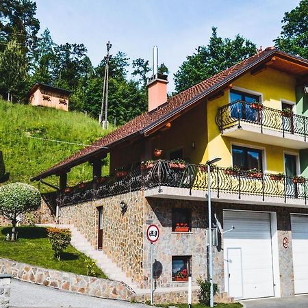 Apartmaji Krebs Mezica エクステリア 写真